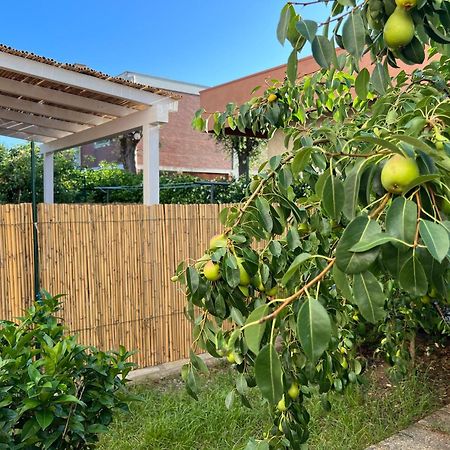 Civiconove Apartment Piombino Luaran gambar