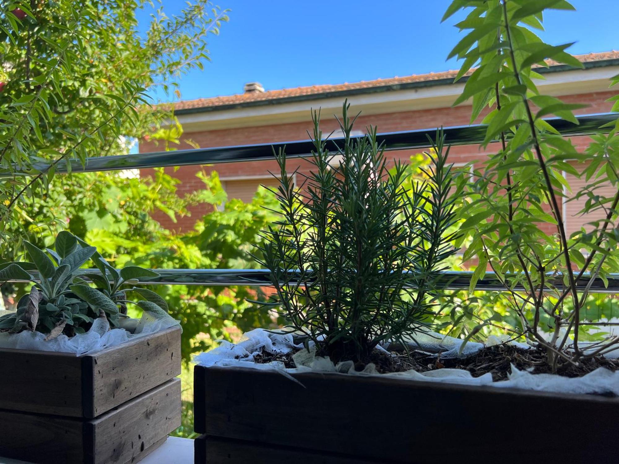 Civiconove Apartment Piombino Luaran gambar